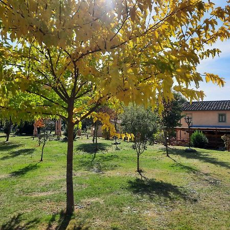 Sassomatto B&B Bioagriturelax Campogialli Kültér fotó