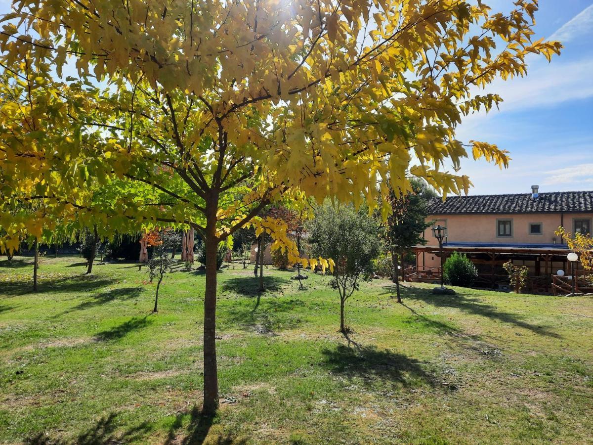 Sassomatto B&B Bioagriturelax Campogialli Kültér fotó