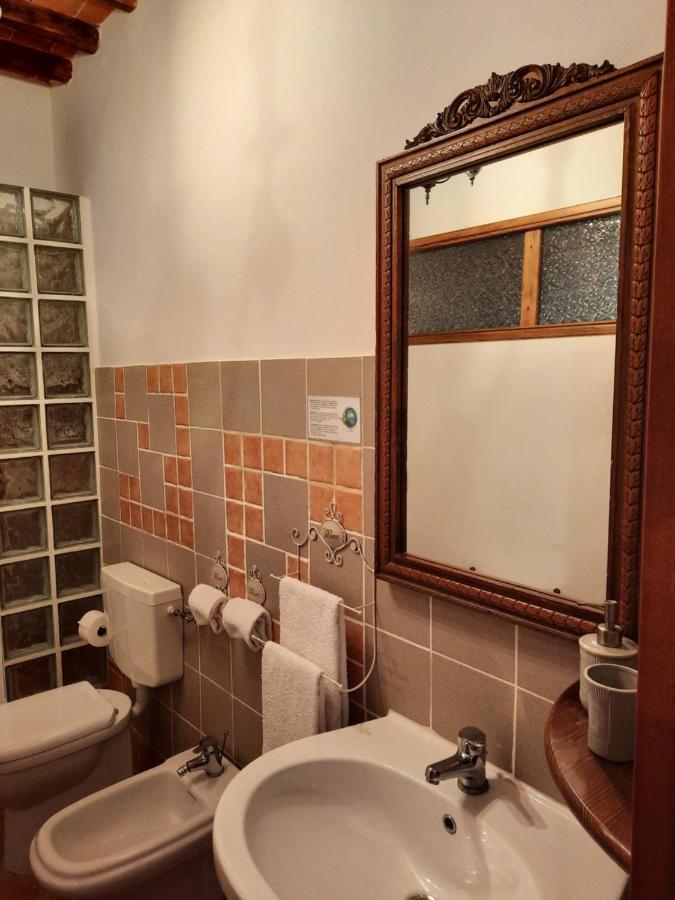 Sassomatto B&B Bioagriturelax Campogialli Kültér fotó