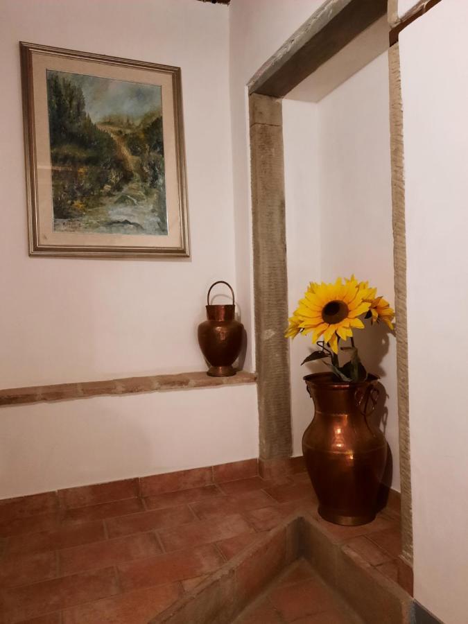 Sassomatto B&B Bioagriturelax Campogialli Kültér fotó